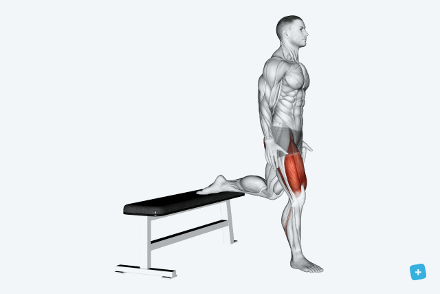 Agachamento em Casa: Guia Completo para Iniciantes