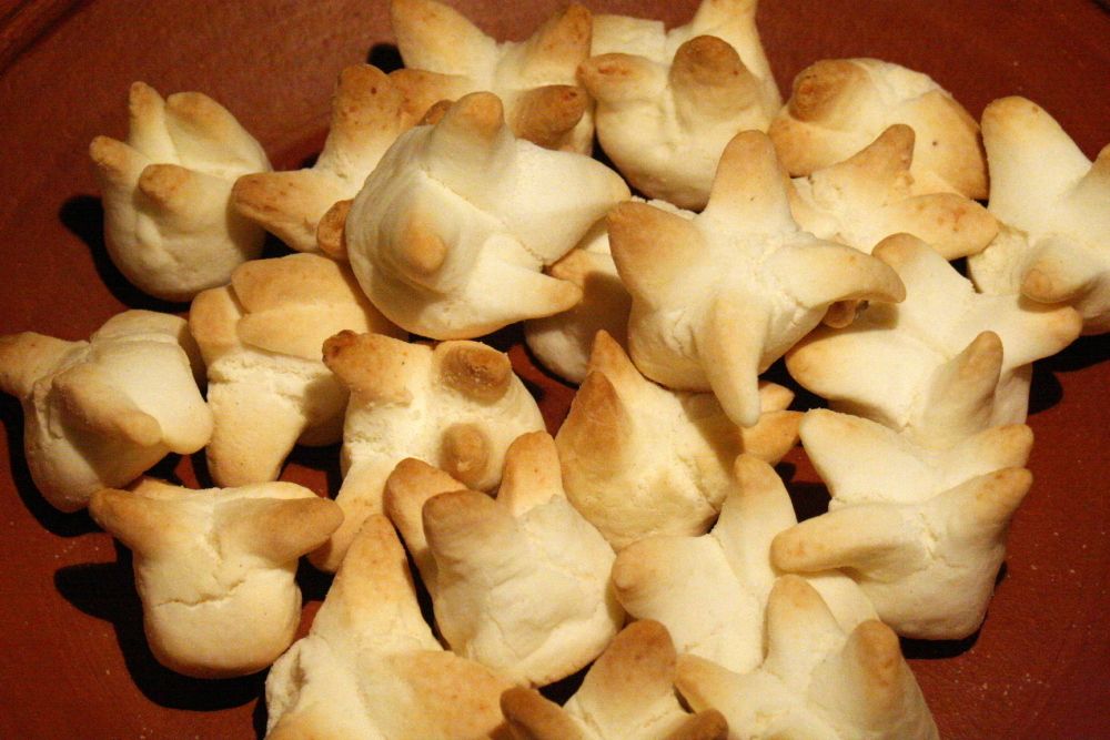 amor perfeito tocantins