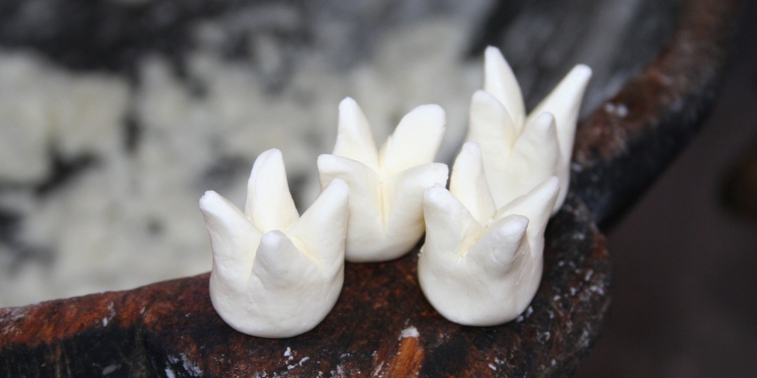 biscoito amor perfeito vs biscoito de goma tocantins