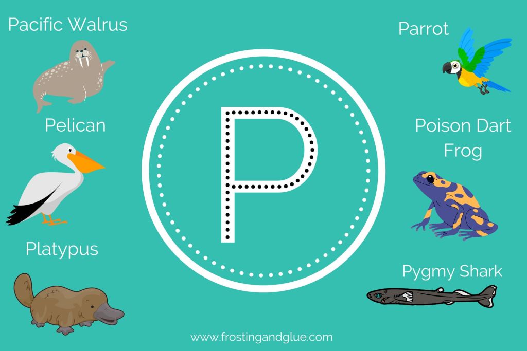 Puma e Outros Grandes Predadores