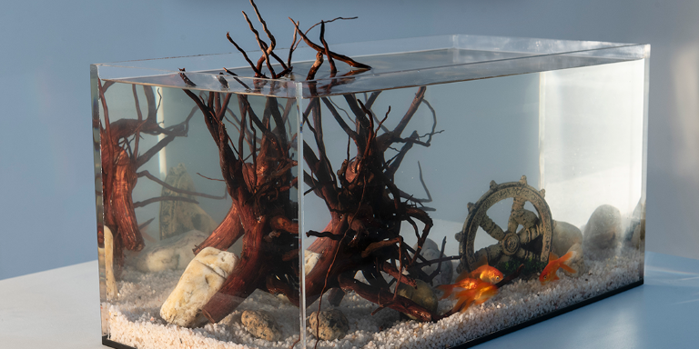 aquario de acrilico