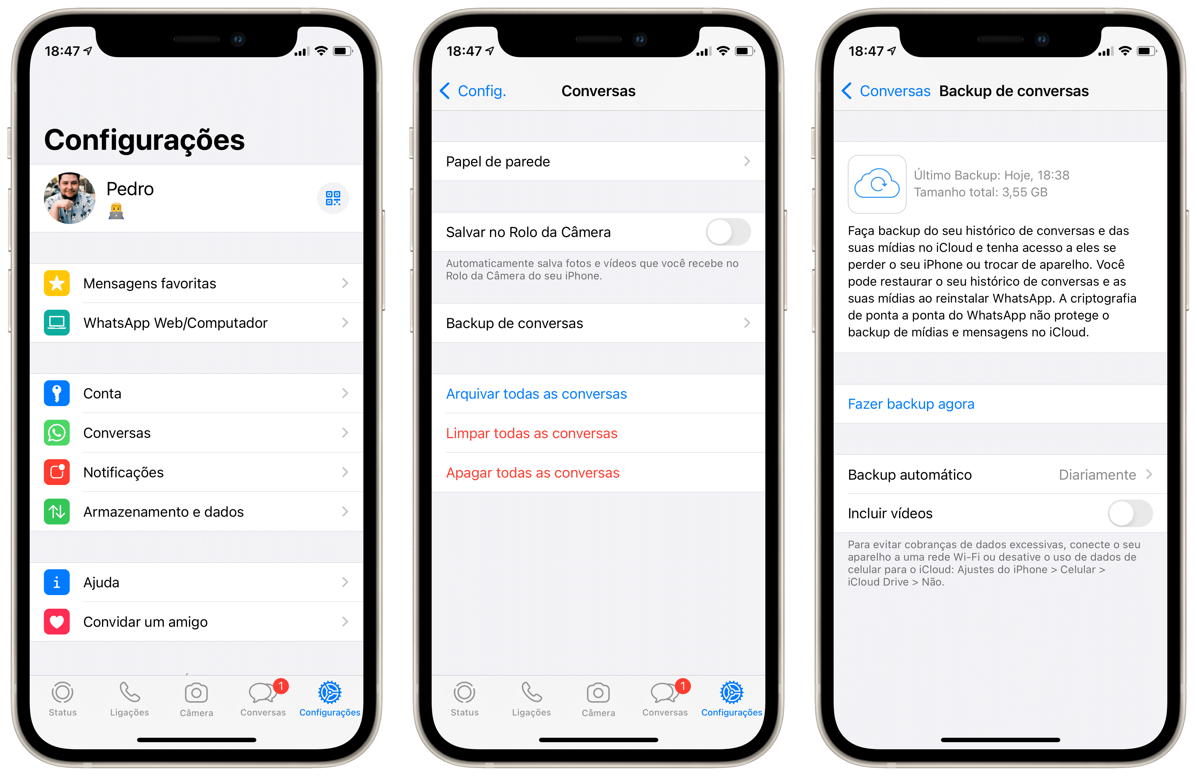 backup do whatsapp iphone