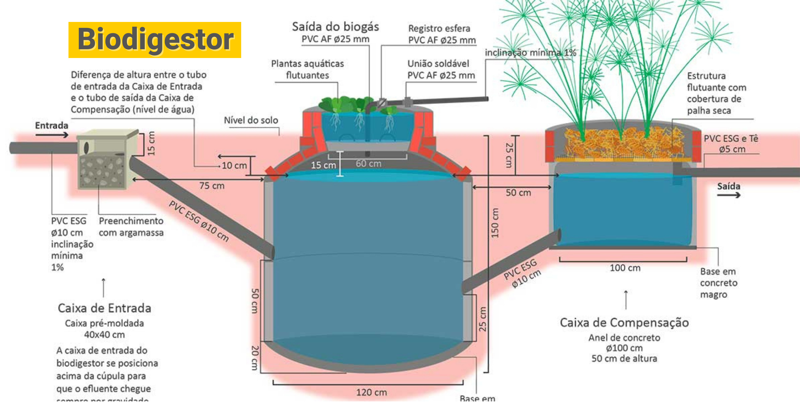 erros comuns ao instalar biodigestor