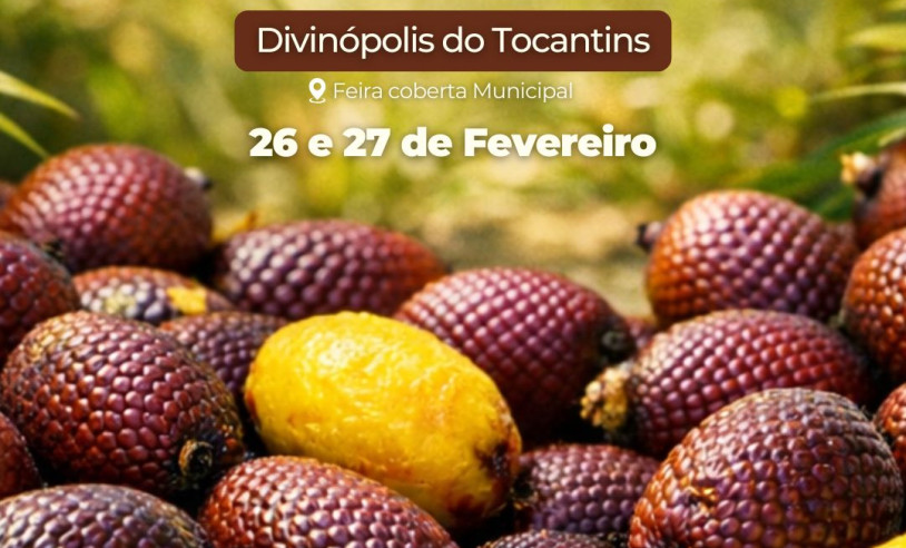 buriti tocantins