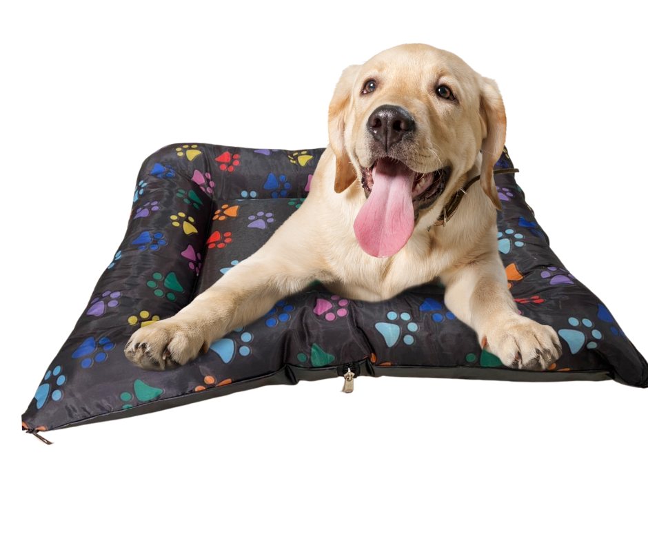 Guia Completo: Como Medir Seu Cachorro para a Cama Perfeita