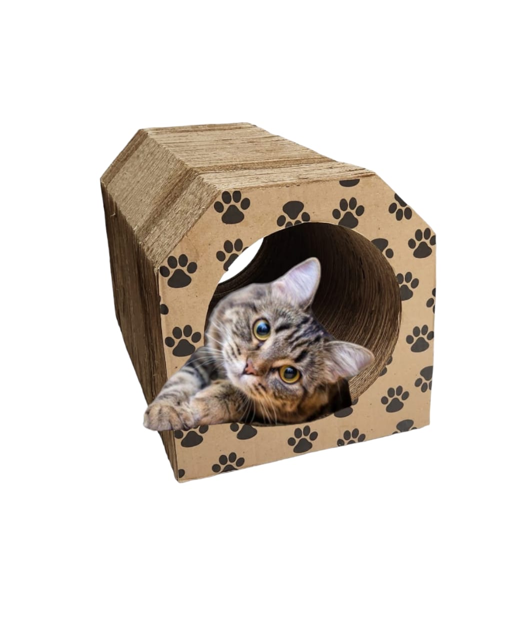 DIY: Crie uma Casinha Confortável para seu Gato com Materiais Reciclados