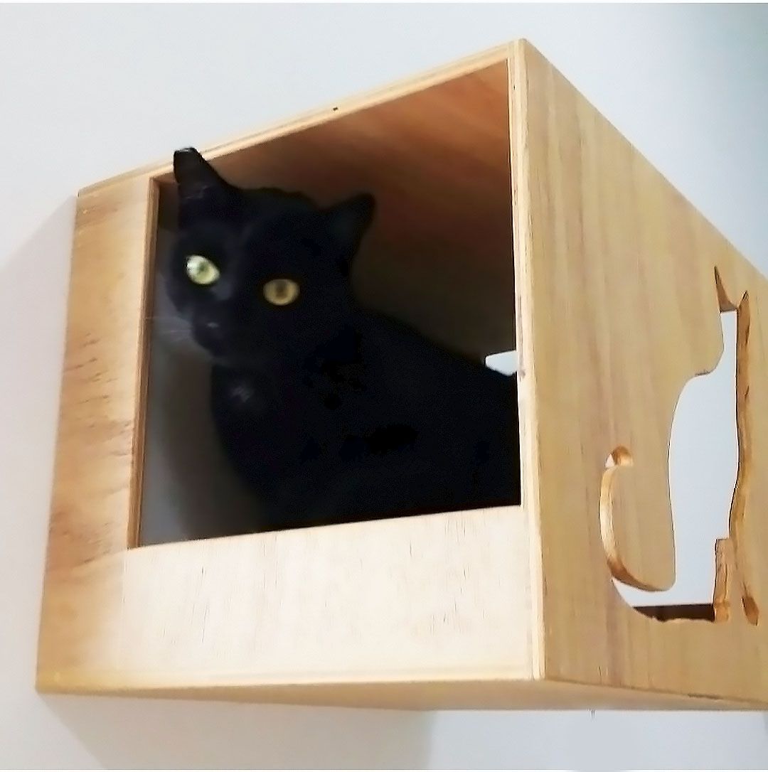 Benefícios das Camas Suspensas para o Bem-Estar Felino