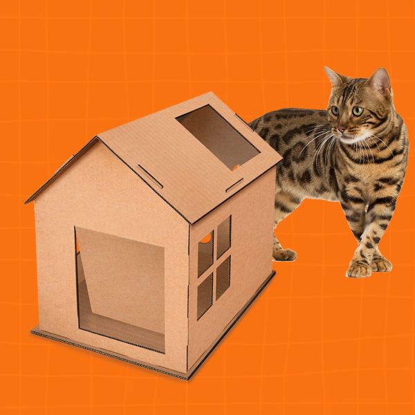 Como Escolher a Casinha Perfeita para Gatos de Apartamento