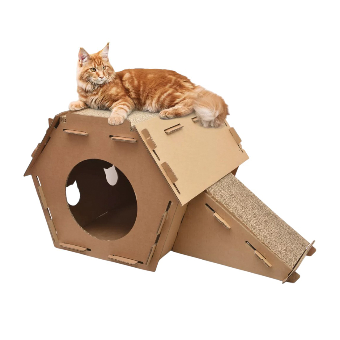 DIY: Crie uma Casinha Confortável para seu Gato com Materiais Reciclados