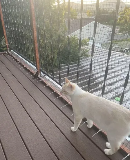 Como Fazer uma Cerca Caseira para Gatos com PVC: Economia e Segurança