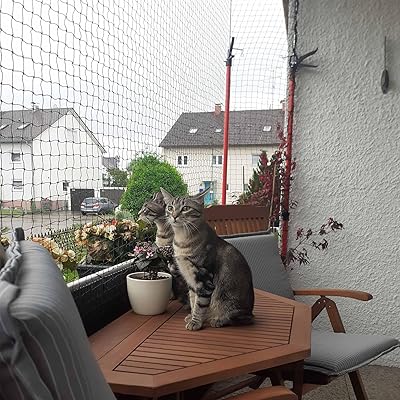 Contras e Modelos Recomendados