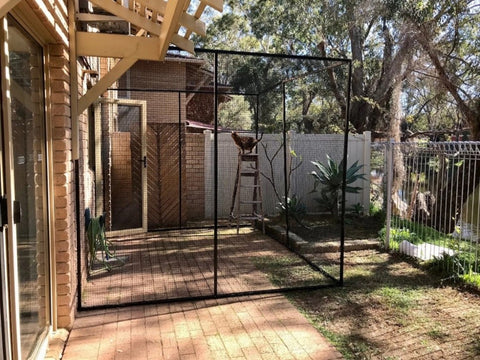 Como Fazer uma Cerca Caseira para Gatos com PVC: Economia e Segurança