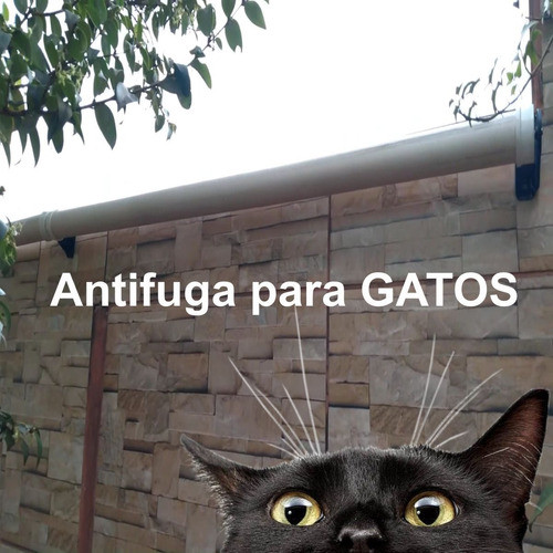 cerca para gatos