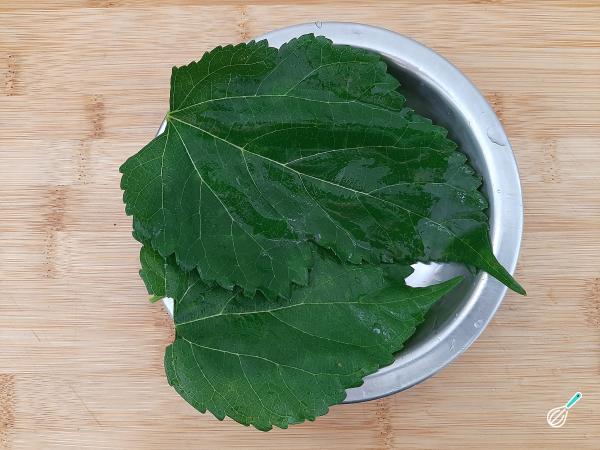 cha de folha de amora verde