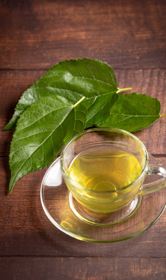 10 Benefícios Surpreendentes do Chá de Amora para a Saúde Feminina