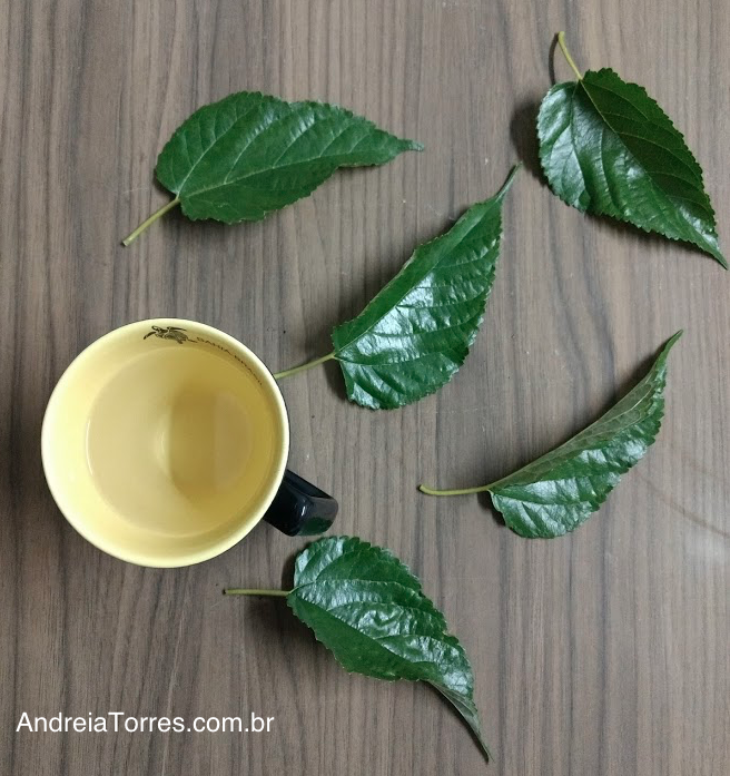 10 Benefícios Surpreendentes do Chá de Amora para a Saúde Feminina