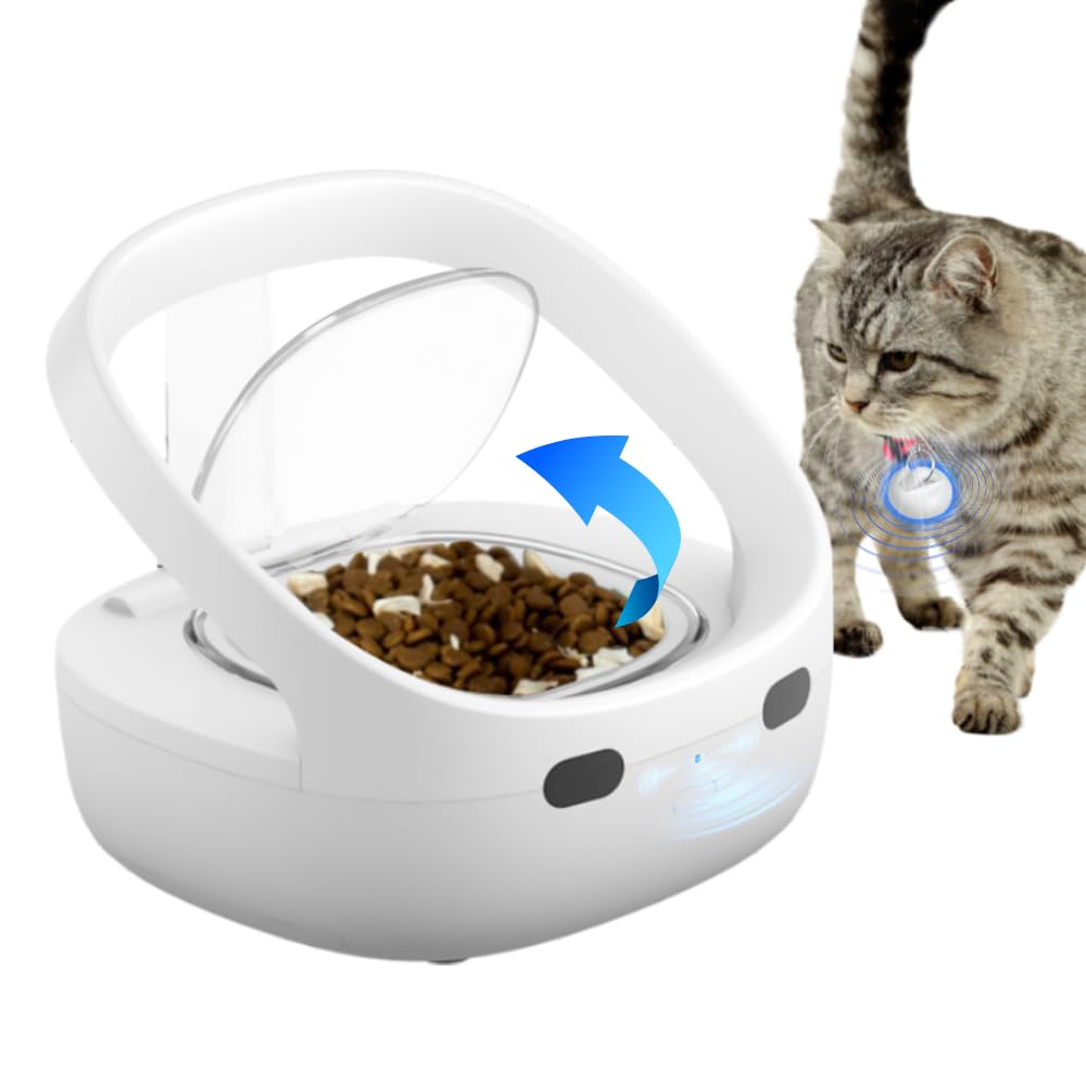 melhores comedouros automaticos para gatos 2024