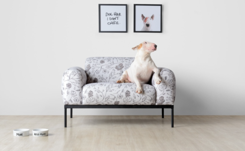 Comedouro lento: a solução para cães que comem muito rápido?