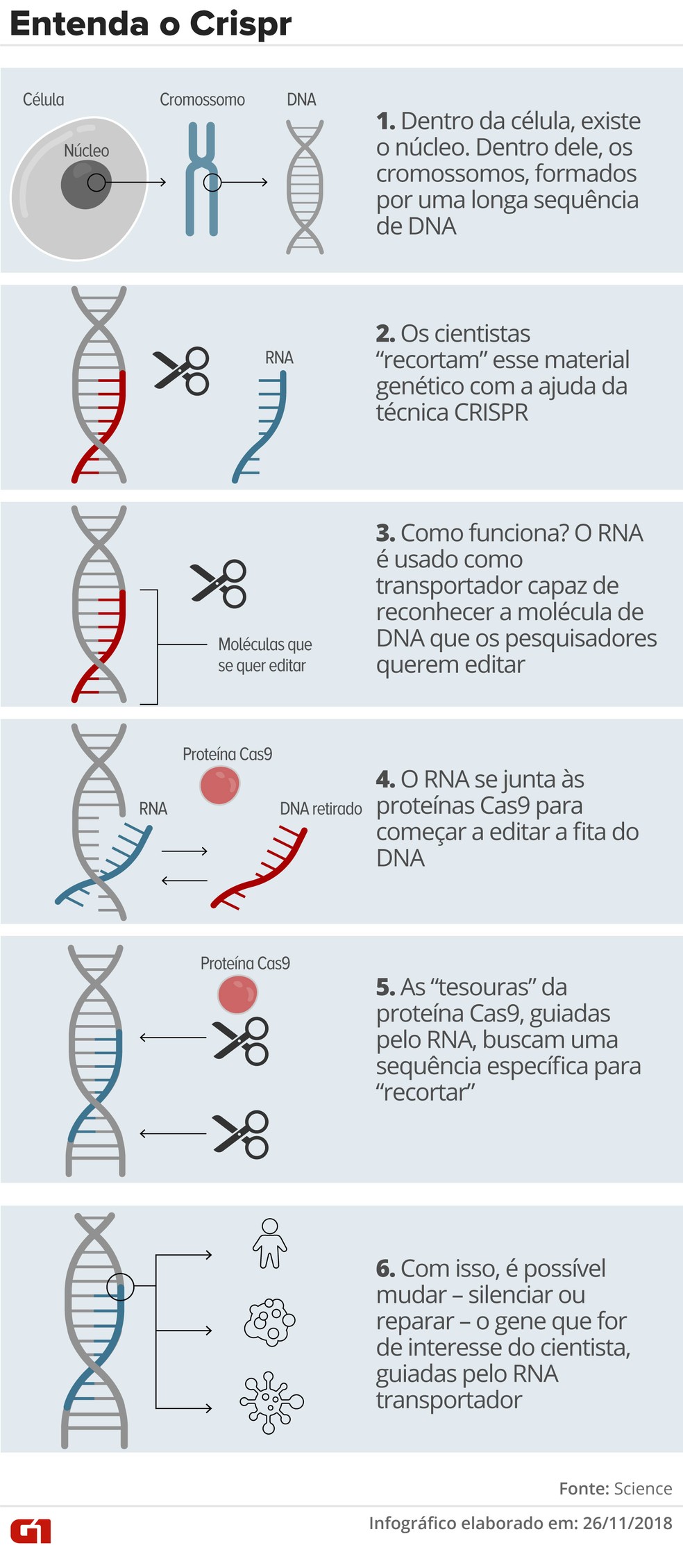 como se faz teste de dna