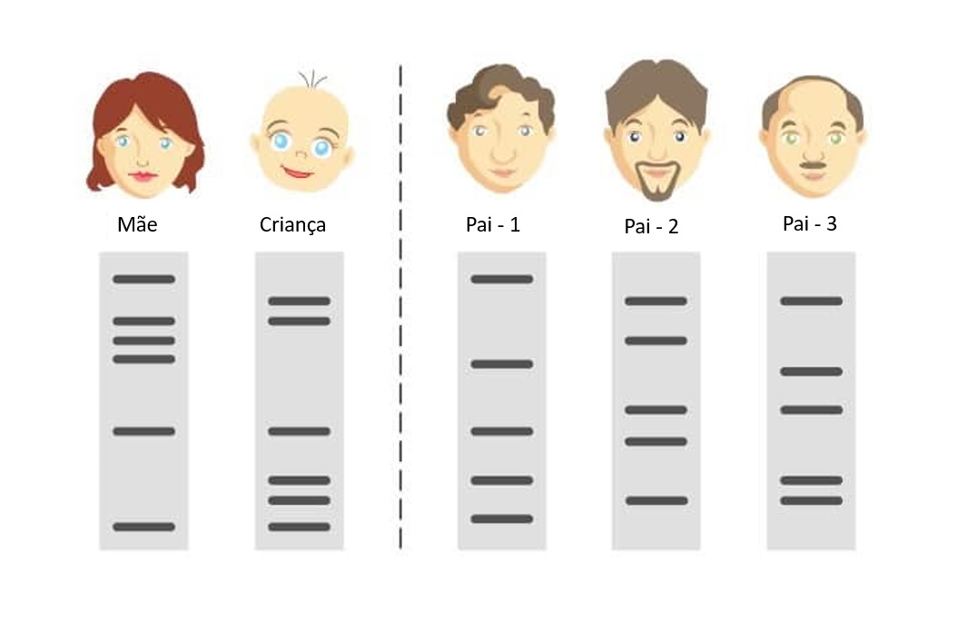 Aplicações e Precisão Científica.
3. O Que São STRs e Como Eles São Usados em Testes de DNA?
4. Teste de Paternidade: O Que Você Precisa Saber Antes de Fazer.
5. DNA Forense: A Ciência por Trás da Identificação em Investigações.