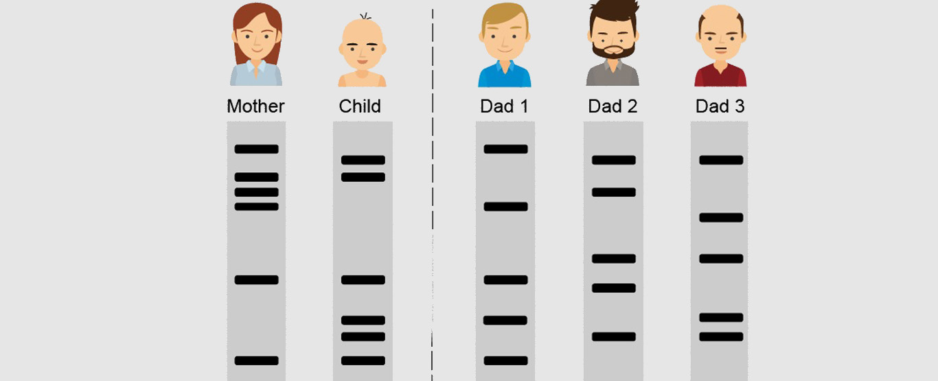 como se faz teste de dna