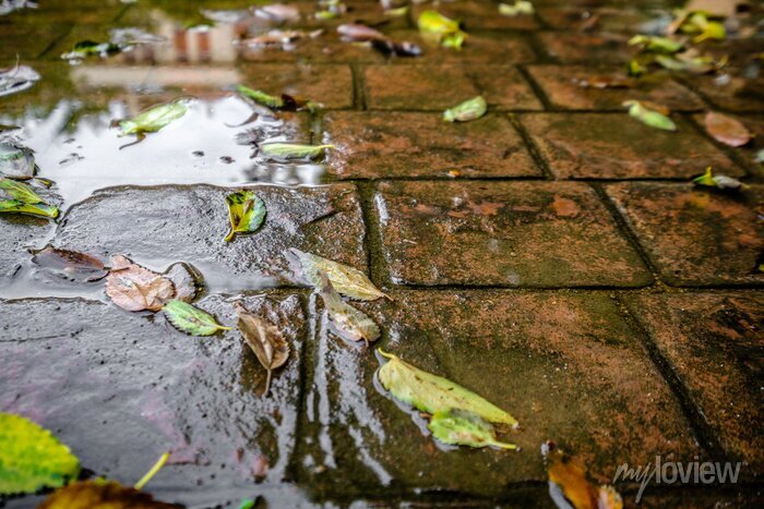 Passo a Passo: Como Aplicar Concreto Estampado em Sua Casa