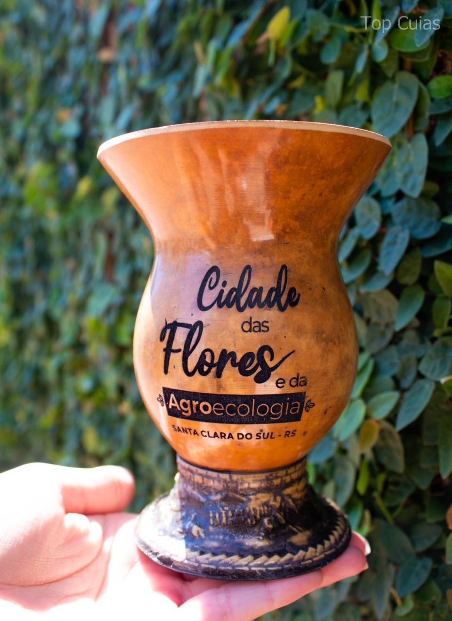 Ideias criativas de pintura artesanal para cuias