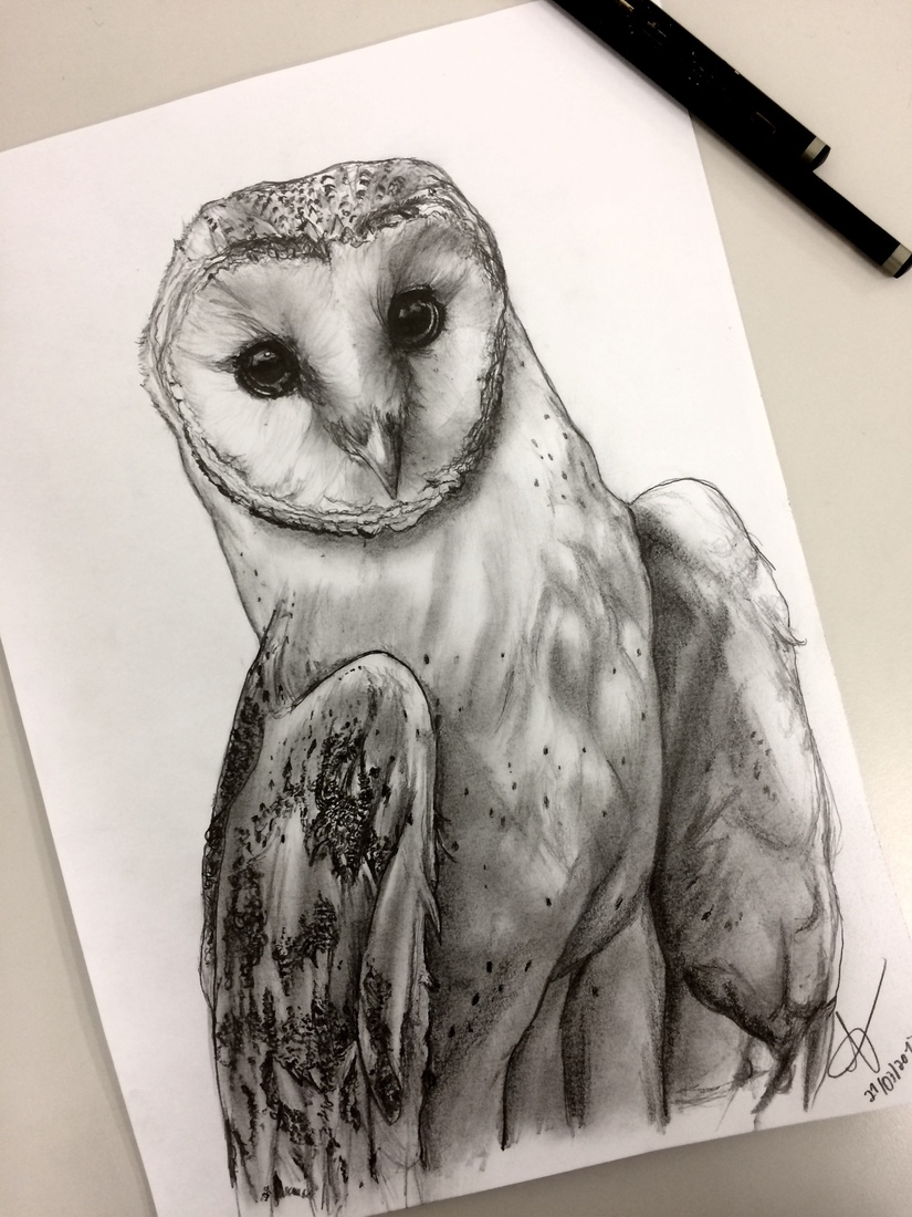 A Importância da Proporção e Anatomia no Desenho Realista