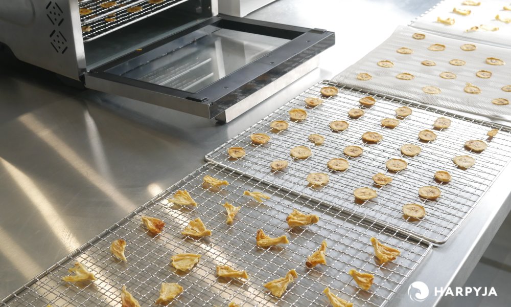 Comparativo: Ariete 616 B-Dry vs. Slow Juicer Brasil Frugal 8 - Qual o Melhor para Iniciantes?