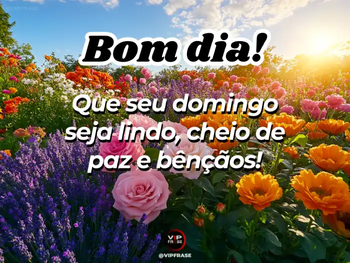 domingo mensagem de bom dia