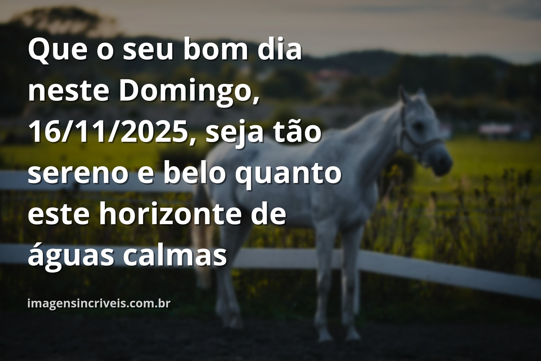 As melhores frases de bom dia para status de domingo
