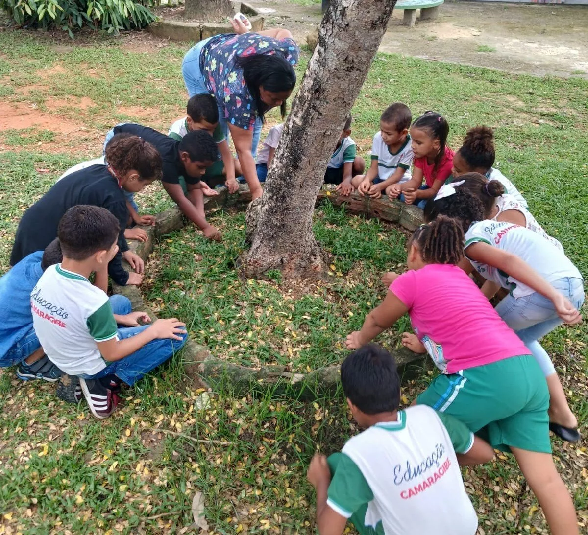 educação ambiental formal vs não formal qual a diferença