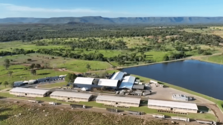melhores raças de gado para fazenda terra prometida