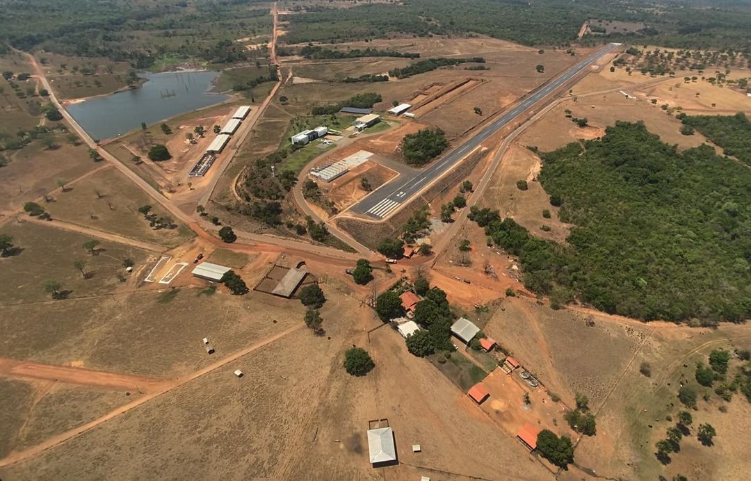 erros comuns ao investir em fazendas de gado nelore