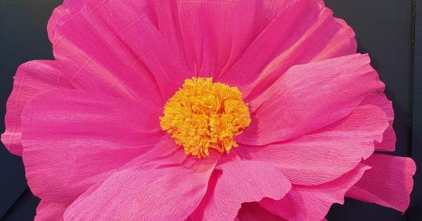 Guia Completo: Como Escolher o Papel Certo para Suas Flores Gigantes