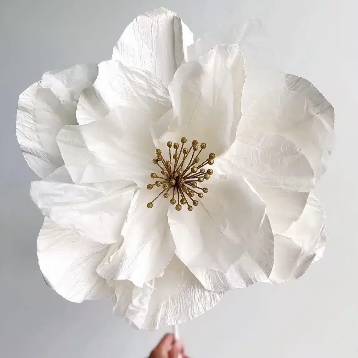 10 Ideias Criativas para Usar Flores Gigantes de Papel Crepom na Decoração