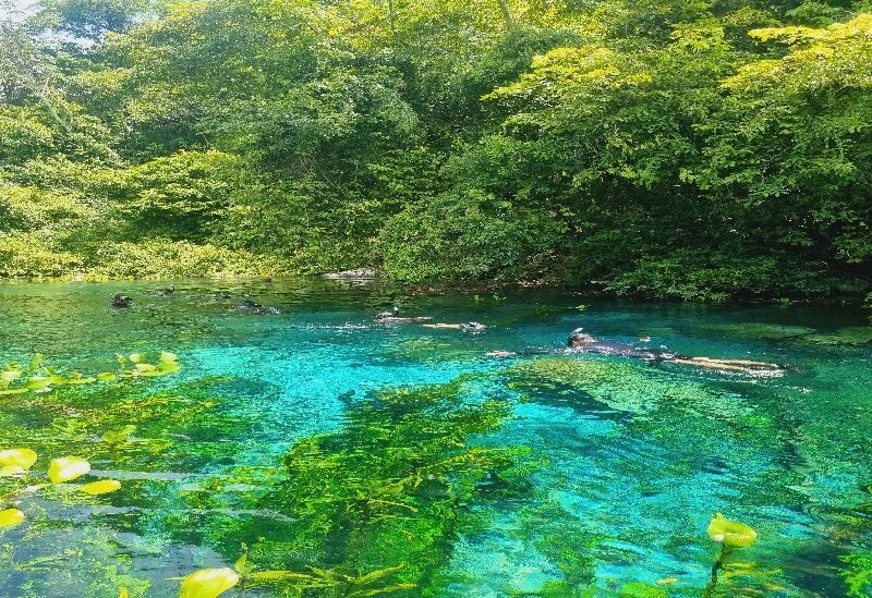 melhor época para flutuação rio azul bonito