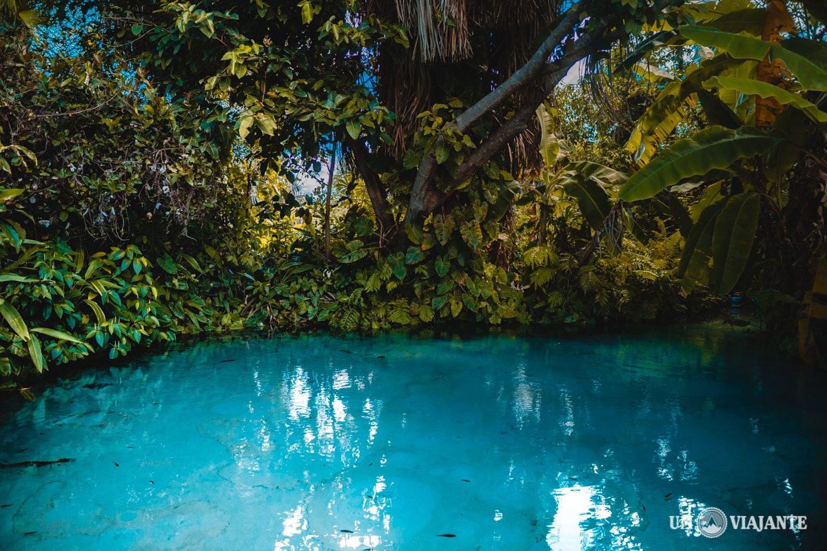 fotografar a via lactea jalapao