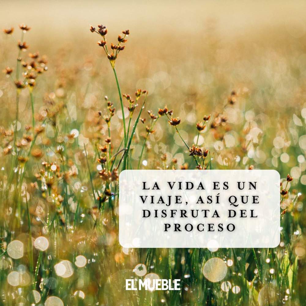 frases para refletir a vida