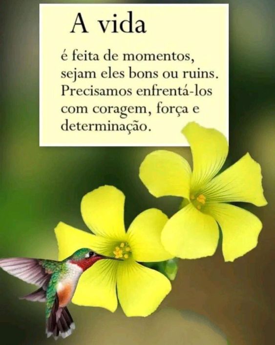 Grandes Pensadores e Suas Frases sobre Sabedoria