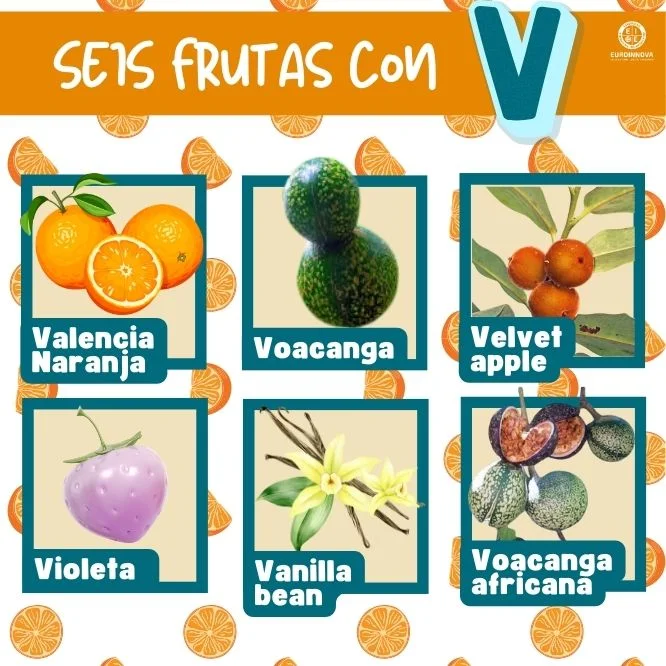 frutas com a letra v