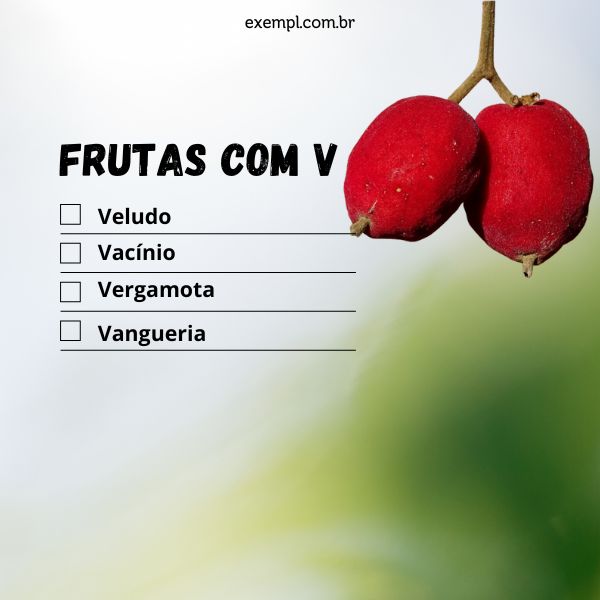 Vagem: Fruto ou Legume? Entenda a Botânica