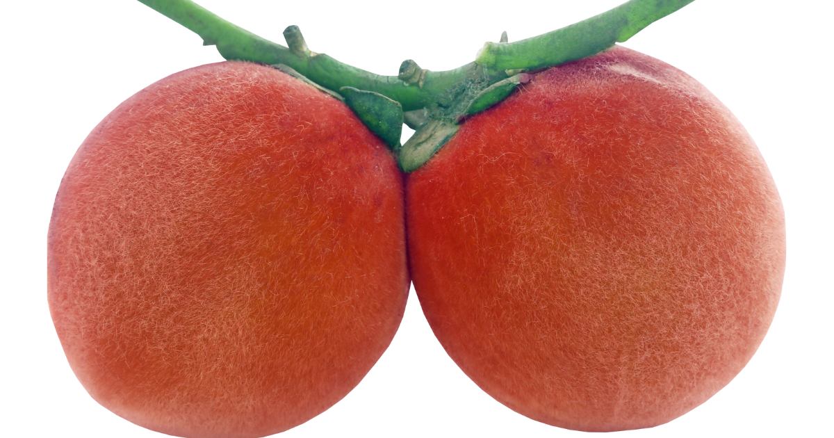 Onde Encontrar Frutas do Cerrado: Um Guia Completo