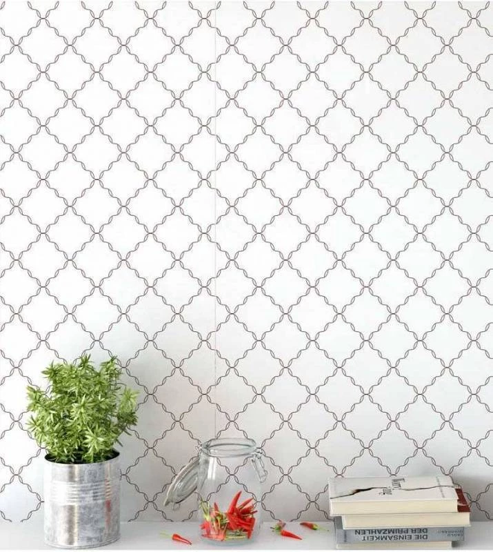 Os 5 Melhores Aplicativos Gratuitos para Colocar Fundo Branco em Fotos