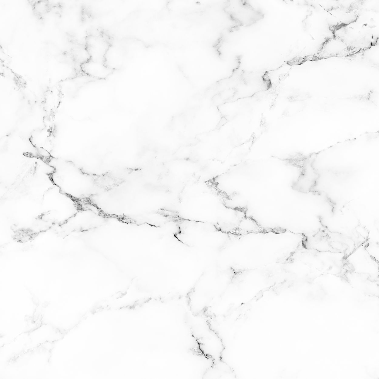 Comparativo: Ferramentas Online vs. Softwares Profissionais para Fundo Branco