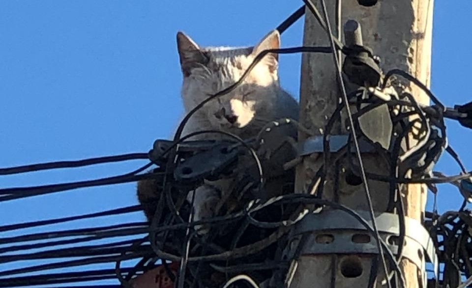 5 Riscos de Fazer Gato de Energia que Você Precisa Saber