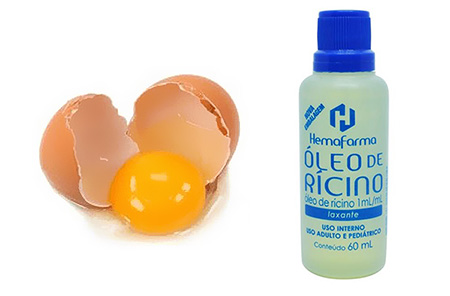 5 Mitos e Verdades sobre Hidratação Capilar com Ovo