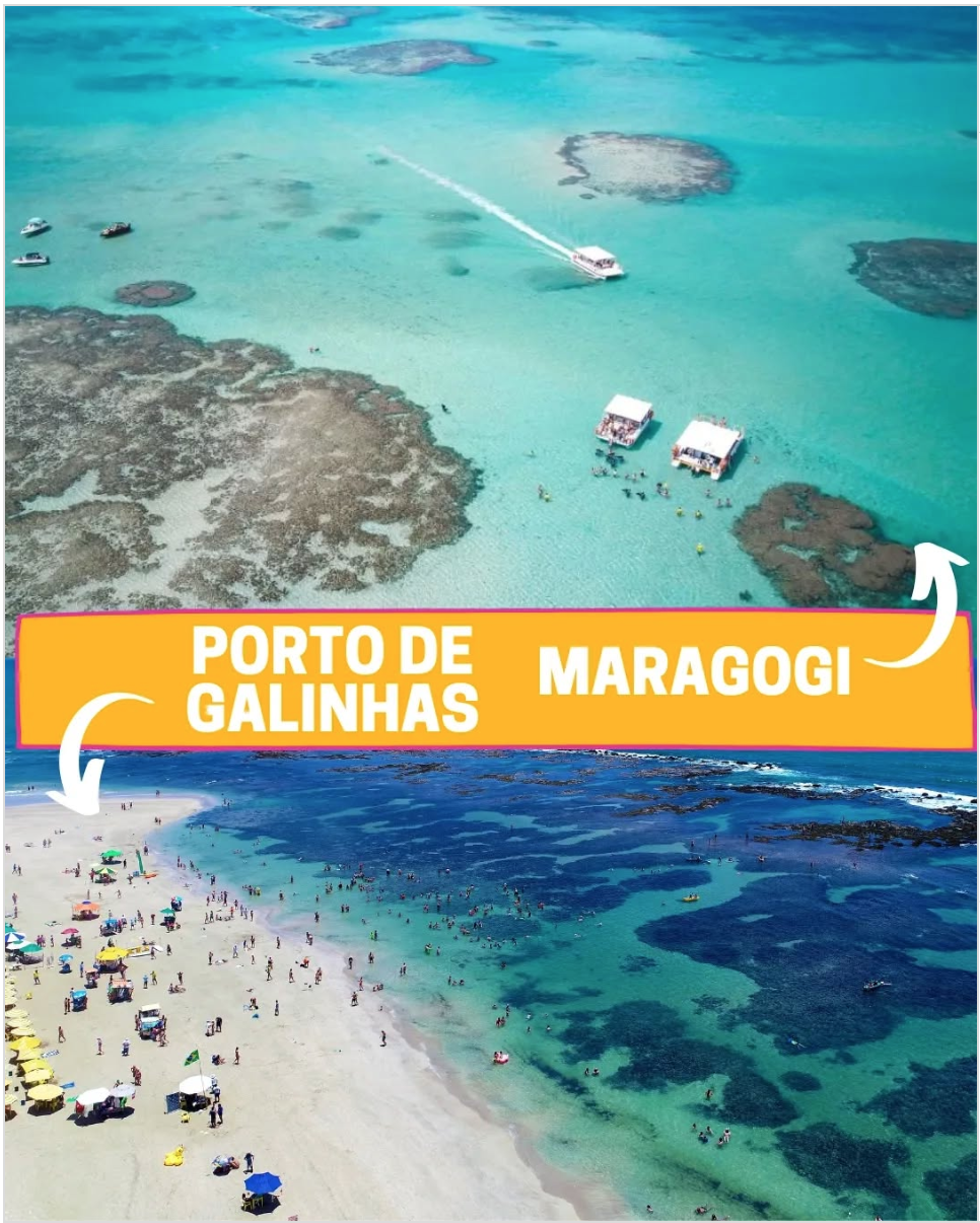 Quanto Custa Ir de Maragogi a Porto de Galinhas: Todas as Opções de Preço