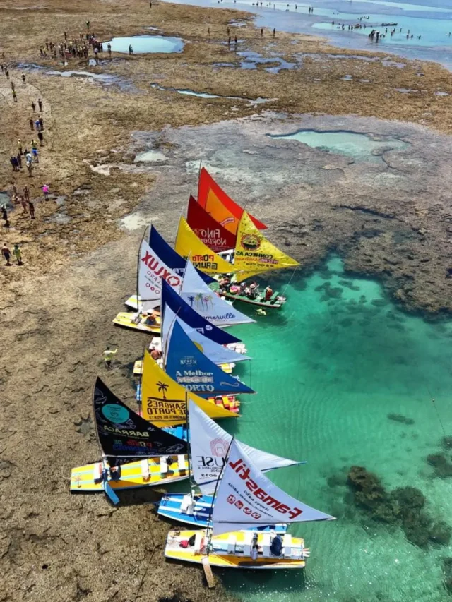 Roteiro Imperdível: Paradas Estratégicas na Estrada Maragogi-Porto de Galinhas