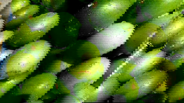 A Influência Cultural nos Nomes com a Letra U